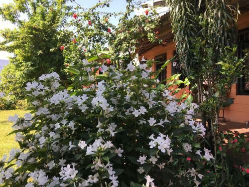 Hotel Hidden Paradise Guest House