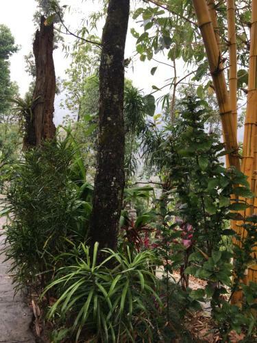 Hotel Hidden Paradise Guest House