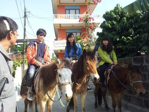 Hotel New Annapurna Guest House