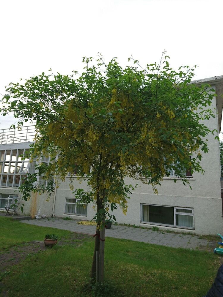 Hostal Alba Guesthouse