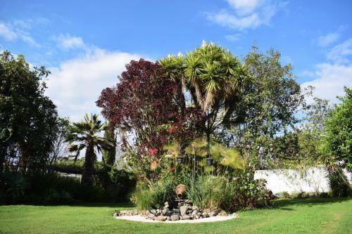 Apartamento Villa Ilalo
