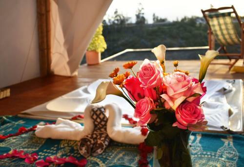 Albergue Samay Glamping Airport