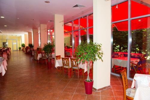 Ivana Palace Hotel