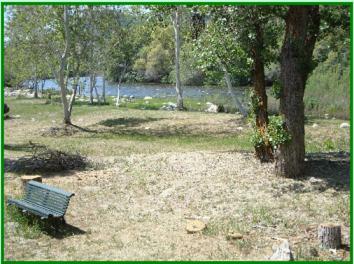 Sequoia Riverfront Cabins