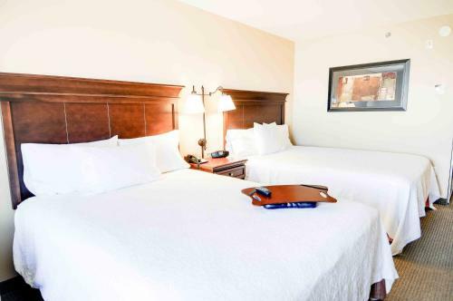 Hotel Hampton Inn & Suites Pinedale