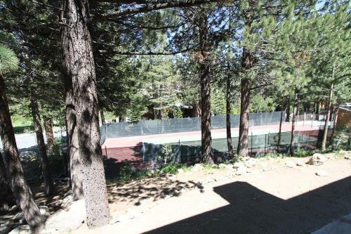 Apartamento Mammoth Reservations