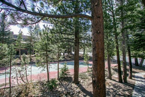 Apartamento Mammoth Reservations