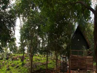 Hotel Gorukana Eco Wellness Retreat