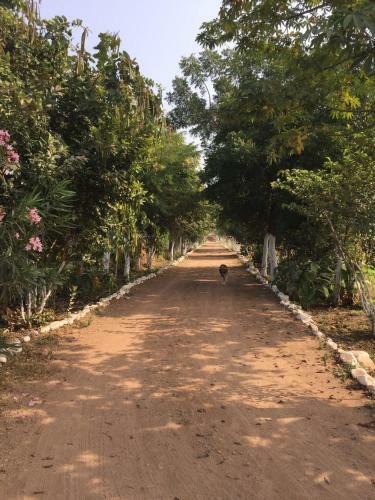 Agroturismo Amourcasa Homestay