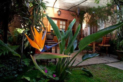 Hostal Chambres D'h�tes Chez Aina