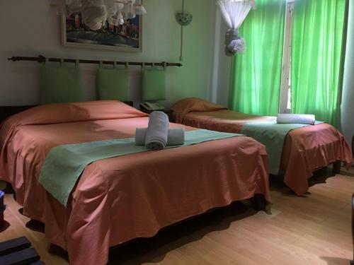 Hotel Tana-jacaranda