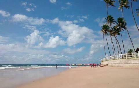 Apartamento Palm Village - O Melhor De Cupe E Porto