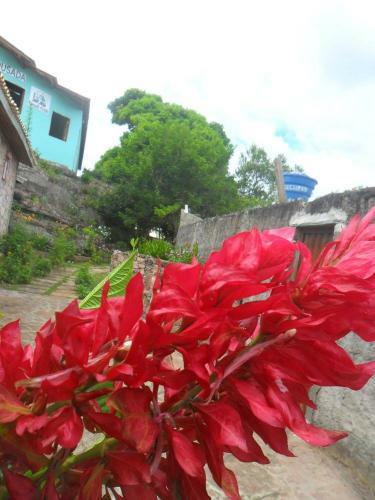 Hostal Pousada Recanto Verde
