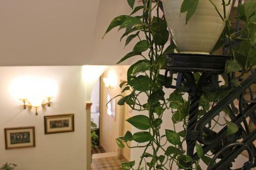 Hotel Albergo Delle Drapperie