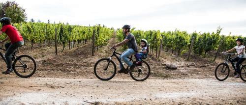 Agroturismo La Casona At Matetic Vineyards