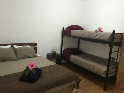 Hostal Pumakari