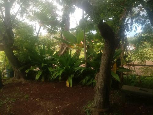 Moehiva