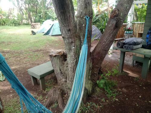 Moehiva