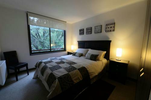 Apartamento Departamento Condominio Costa Puc�n