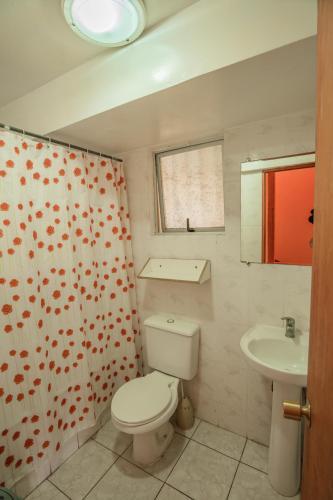 Caba�as Maihue