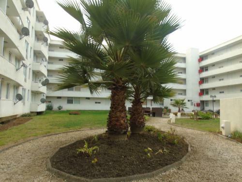 Apartamento Departamento