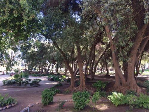 Apartamento Bah�a Pel�canos