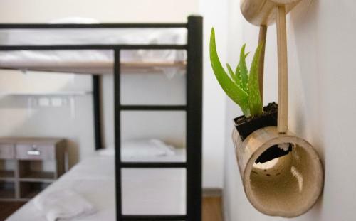 Bed & Breakfast La Vaina Hostel Cali