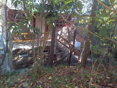 Lodge Caba�a Las Fucsias I
