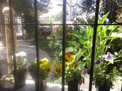 Apartamento Posada Flor Y Nata