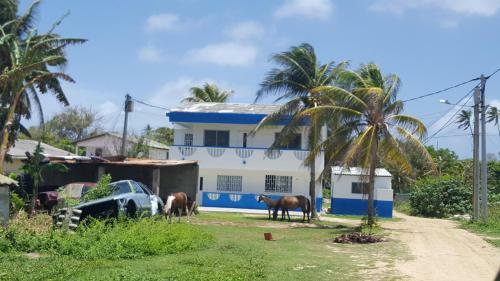 Hostal Lucillee's Lodging