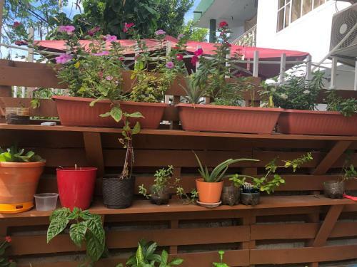 Apartment Golden Beach
