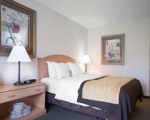 Hotel Comfort Inn & Suites Salmon Arm