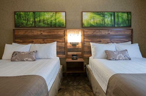 Hotel Best Western Plus Valemount Inn & Suites