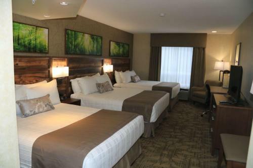 Hotel Best Western Plus Valemount Inn & Suites