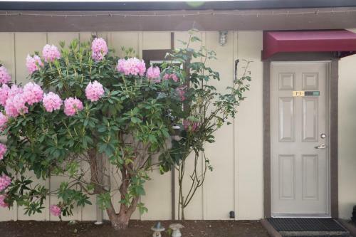 Motel Cherry Tree Inn