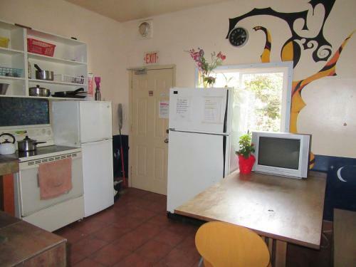 Turtle Hostel