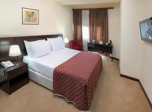 Hotel Ani Central Inn