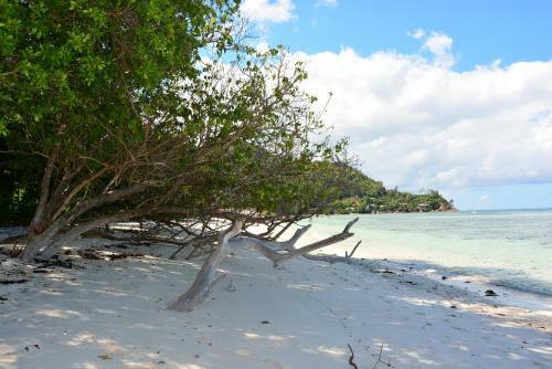 Hotel Villa Anse La Blague