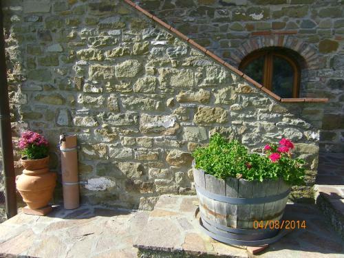 Agroturismo Agriturismo Poggio All'olmo