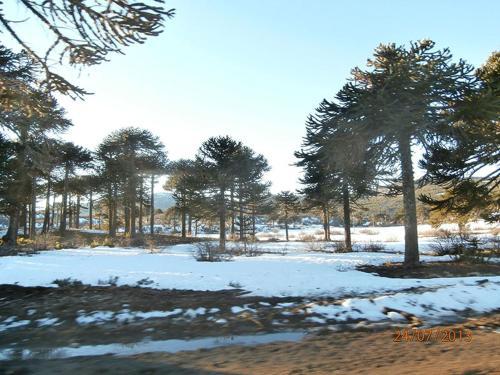 Lodge Caba�as Huerquen
