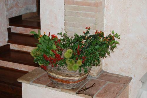 Agroturismo Podere Costa Romana