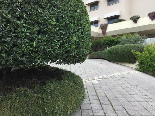 Green Park Hotel