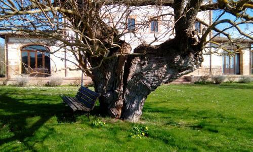 Agroturismo Parco Ducale Country House