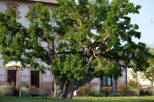 Agroturismo Parco Ducale Country House