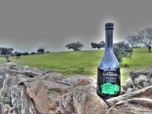 Agroturismo Finca La Ramallosa