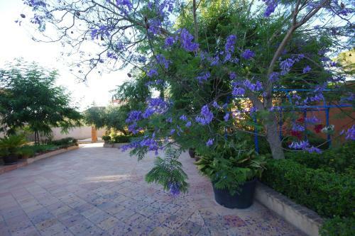 Bed & Breakfast Valencia Country House