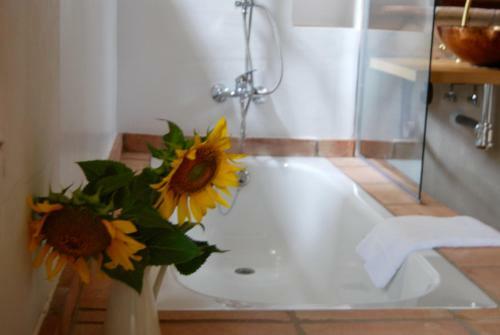Agroturismo Cortijo De Vega Grande