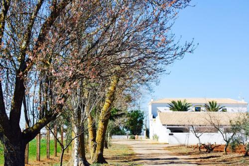 Agroturismo Cortijo De Vega Grande