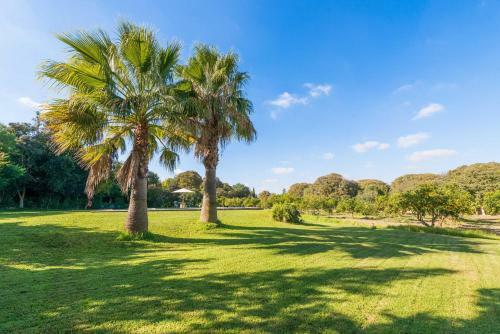 Villa Son Vivot - N� 5 D�plex Apto