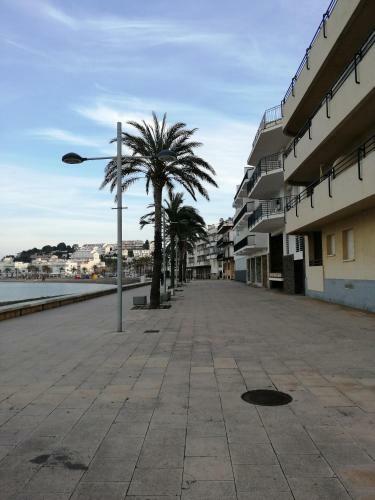 Apartamento Berna 2-3